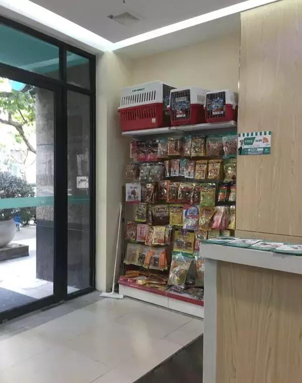 中国为什么没有正规的宠物医院,国内靠谱的宠物医院