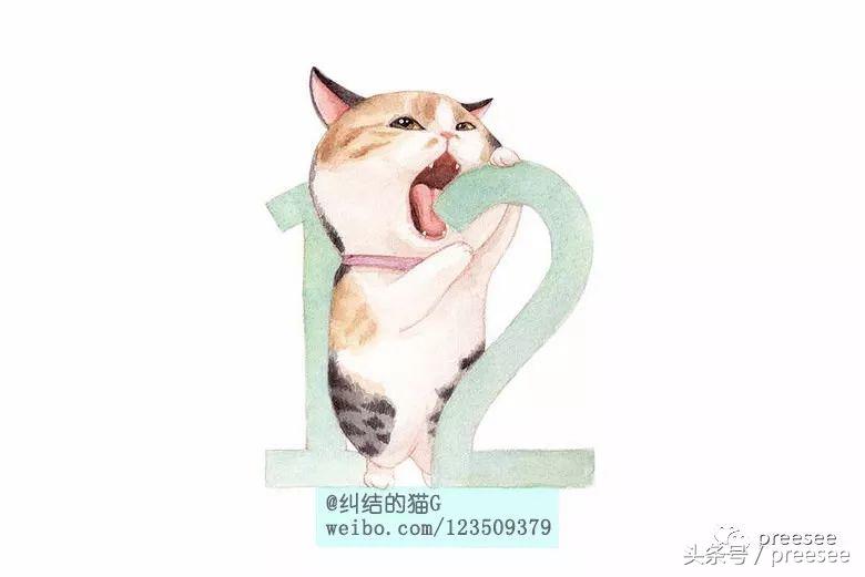 北京｜爱猫却不能亲近，于是她画出了一群萌猫