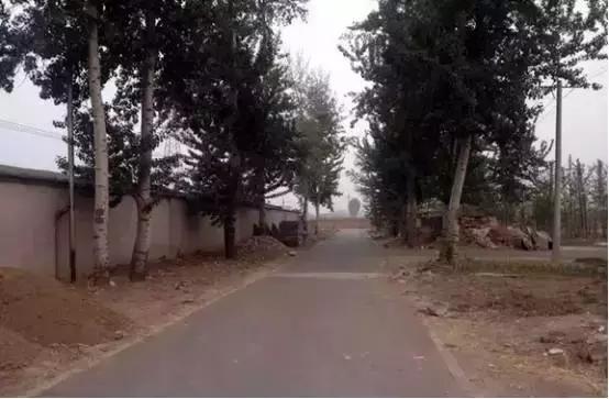 如果你的农庄是凤姐，如何把它打造成范冰冰？（附农庄改造案例）