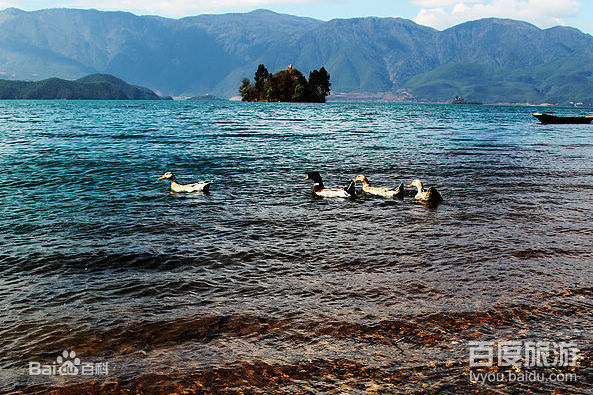 哇哇哇！这里简直美呆啦！