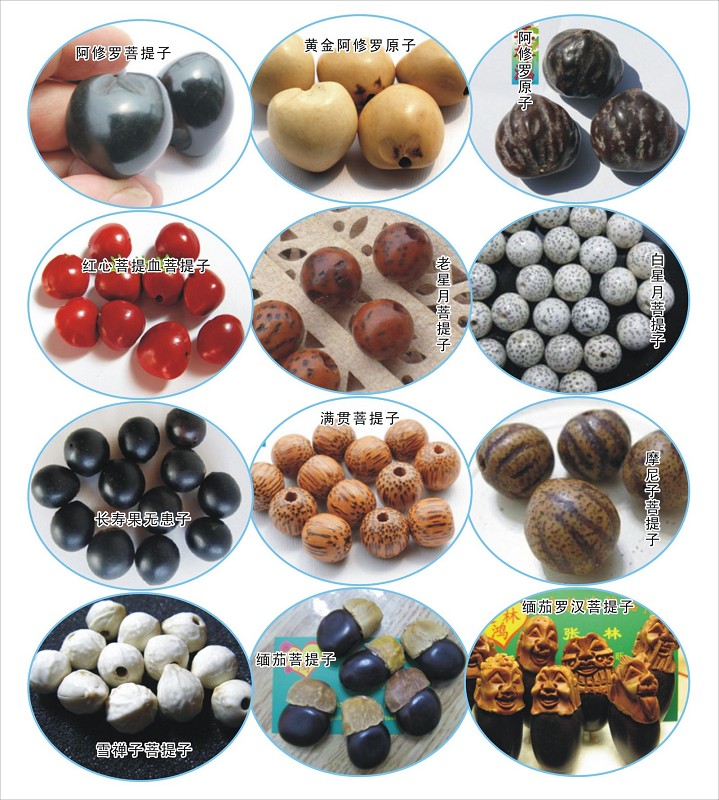 去旅游再也不怕奸商蒙人了，一篇能让你认清所有菩提子的文章！