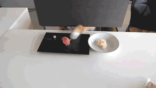 vegas视频软件在哪里下载,vegaspro剪辑鬼畜教程