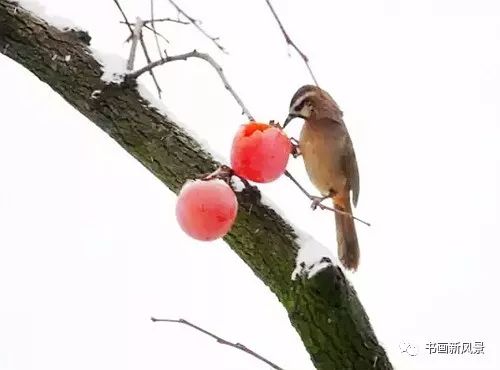 白里透红美颜,白里透红娇颜