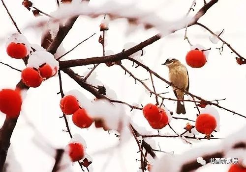 白里透红美颜,白里透红娇颜