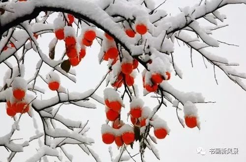 白里透红美颜,白里透红娇颜