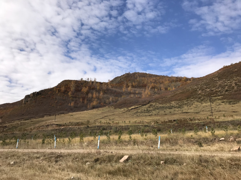 自驾赤峰草原2日,自驾赤峰草原视频