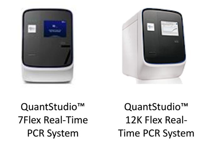 妇科感染病原的精准诊断