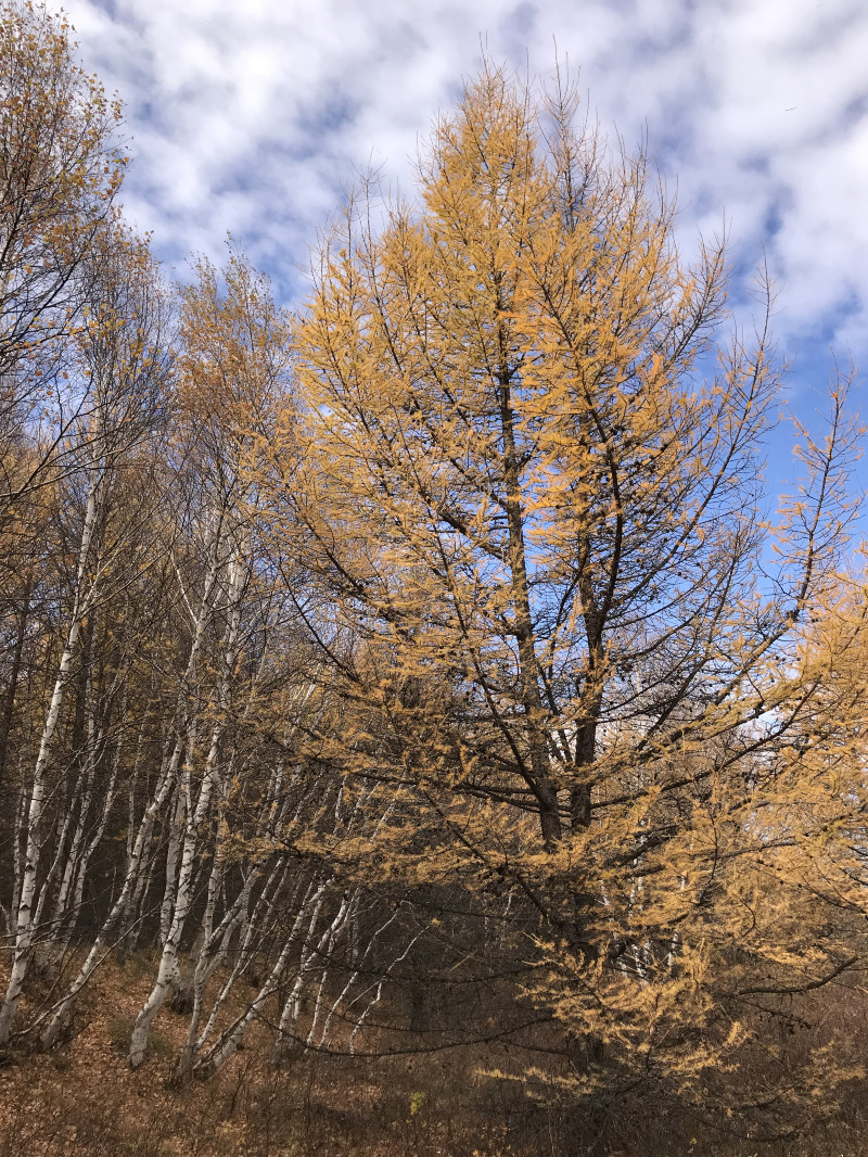 自驾赤峰草原2日,自驾赤峰草原视频