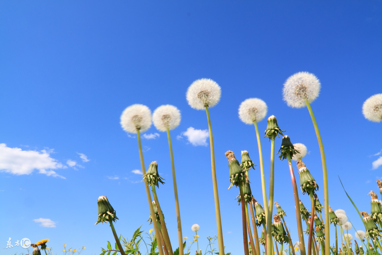 四六级必备的500个核心单词,500个基础的英语单词