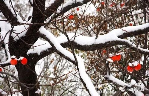 白里透红美颜,白里透红娇颜