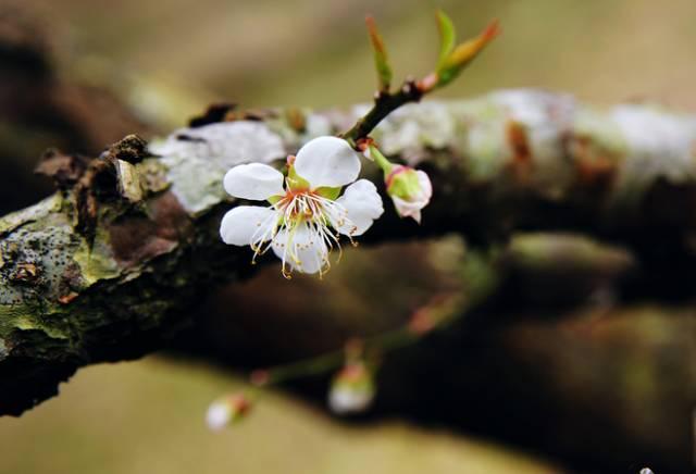 深圳周边7个人温泉酒店,房间里带温泉的酒店深圳周边