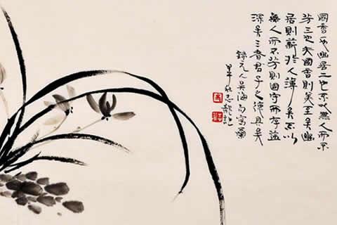 兰花最名贵的品种多少钱一株,最贵的兰花价格多少钱一棵