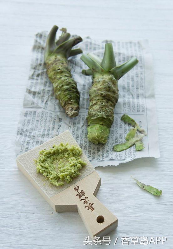 山葵辣根芥末的日语分别是什么,芥末系辣根山葵图片