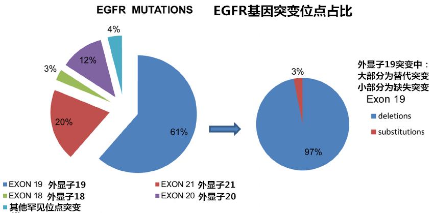治疗肺癌的易瑞沙,肺癌靶向药易瑞沙价格多少