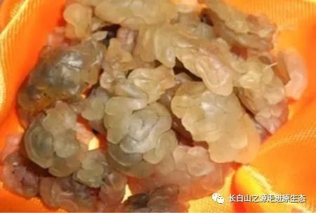 白山地区好的地方特产,白山特产有哪些值得买