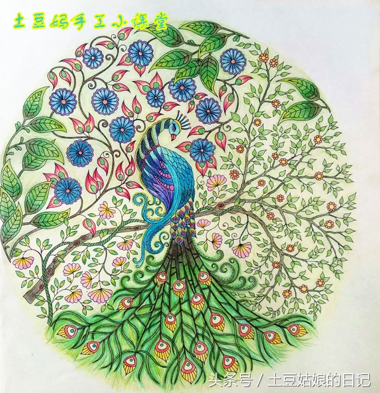 玩秘密花园涂色本,秘密花园涂色本可爱