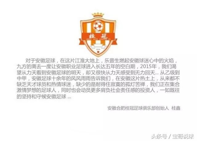 合肥桂冠球队老板桂鑫,桂鑫安徽桂冠