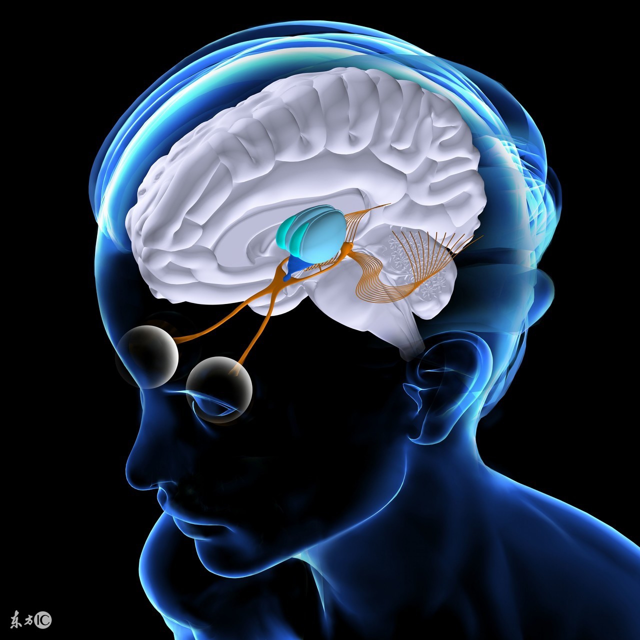 掌握这些退热方法，孩子少受罪