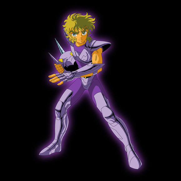 最没存在感的圣斗士星座排行,圣斗士88星座里的四个特殊星座