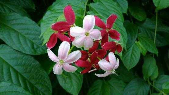 80后斜杠青年装修爆改姑苏民居找寻属于他的诗和远方