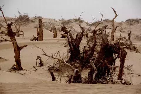 徒步能遇见更好的自己,徒步才能感受到的自然美景