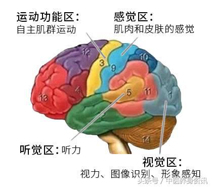 关于神经性耳鸣的最新发现,你真的了解颈椎病吗