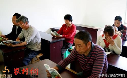 农村人创业的机会有哪些,新手回农村创业有哪些方案