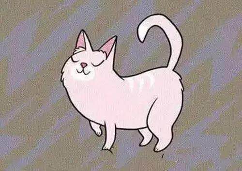 武汉市联合宠物医院怎么样,武汉联合动物医院养宠物