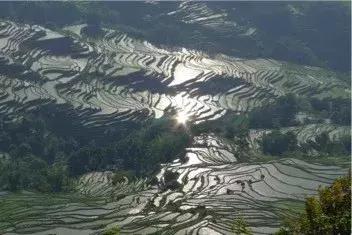 抗击肝癌最佳方案,抗肝癌良方