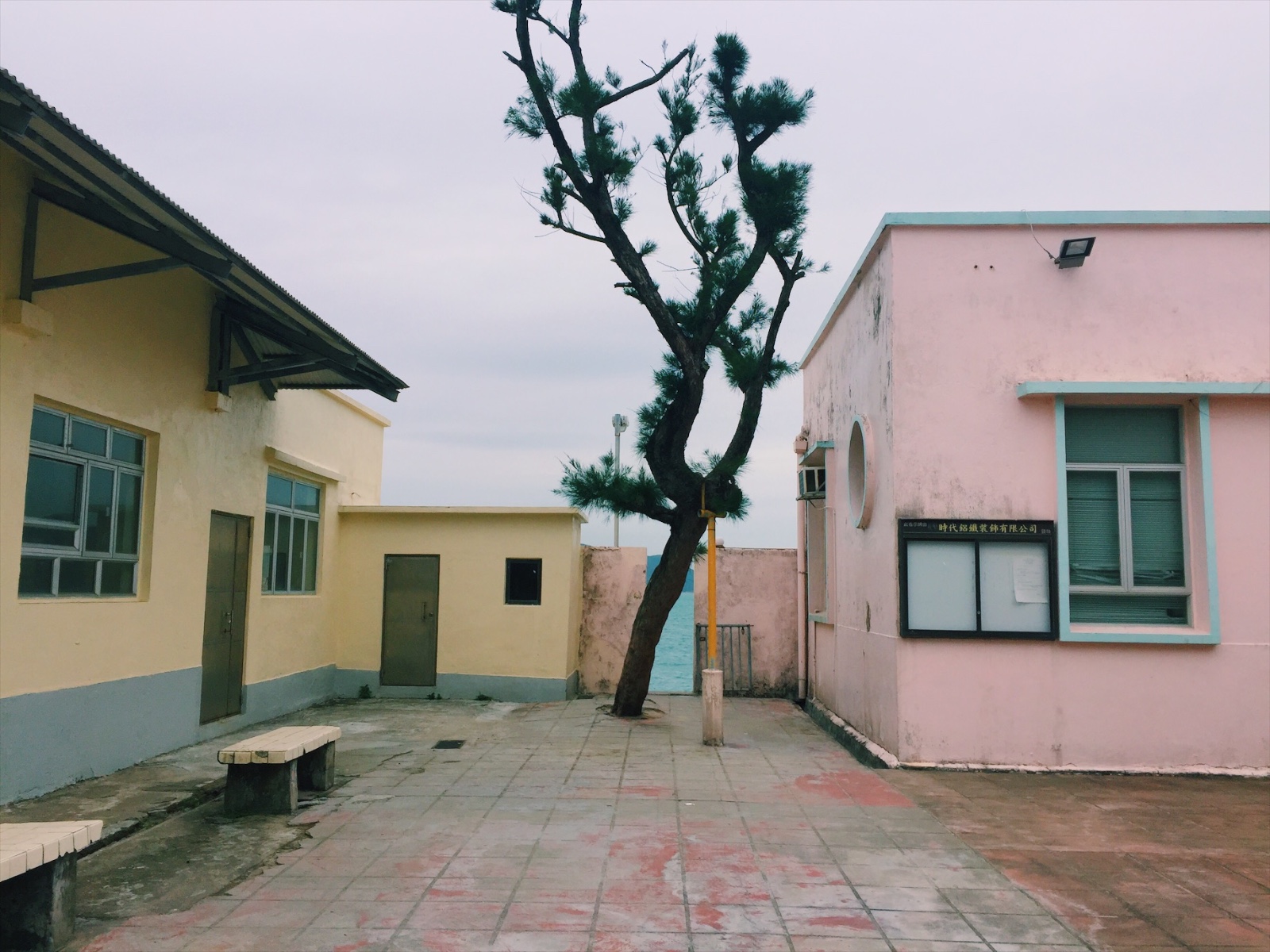 VA踩点|我养你啊