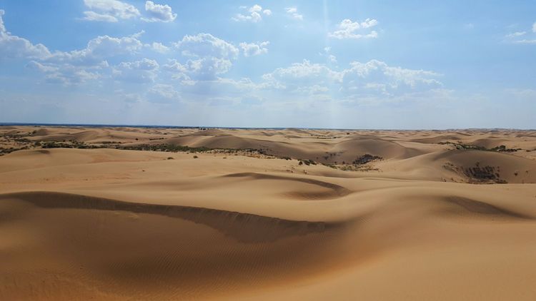 恩格贝沙漠自驾游,走进原始森林房车游记