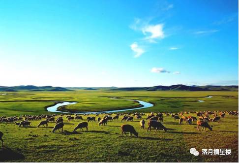 行走在呼伦贝尔大草原视频 (行走在呼伦贝尔纪录片)