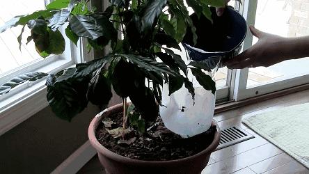 小瓶子手工制作小东西养花,省钱10大养花神器1个塑料瓶做出来