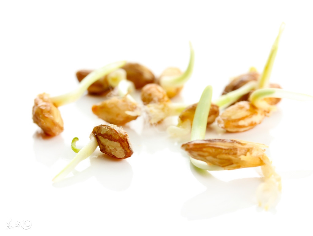 吃它们能够给我们带来不少的好处,吃什么瘦得最快