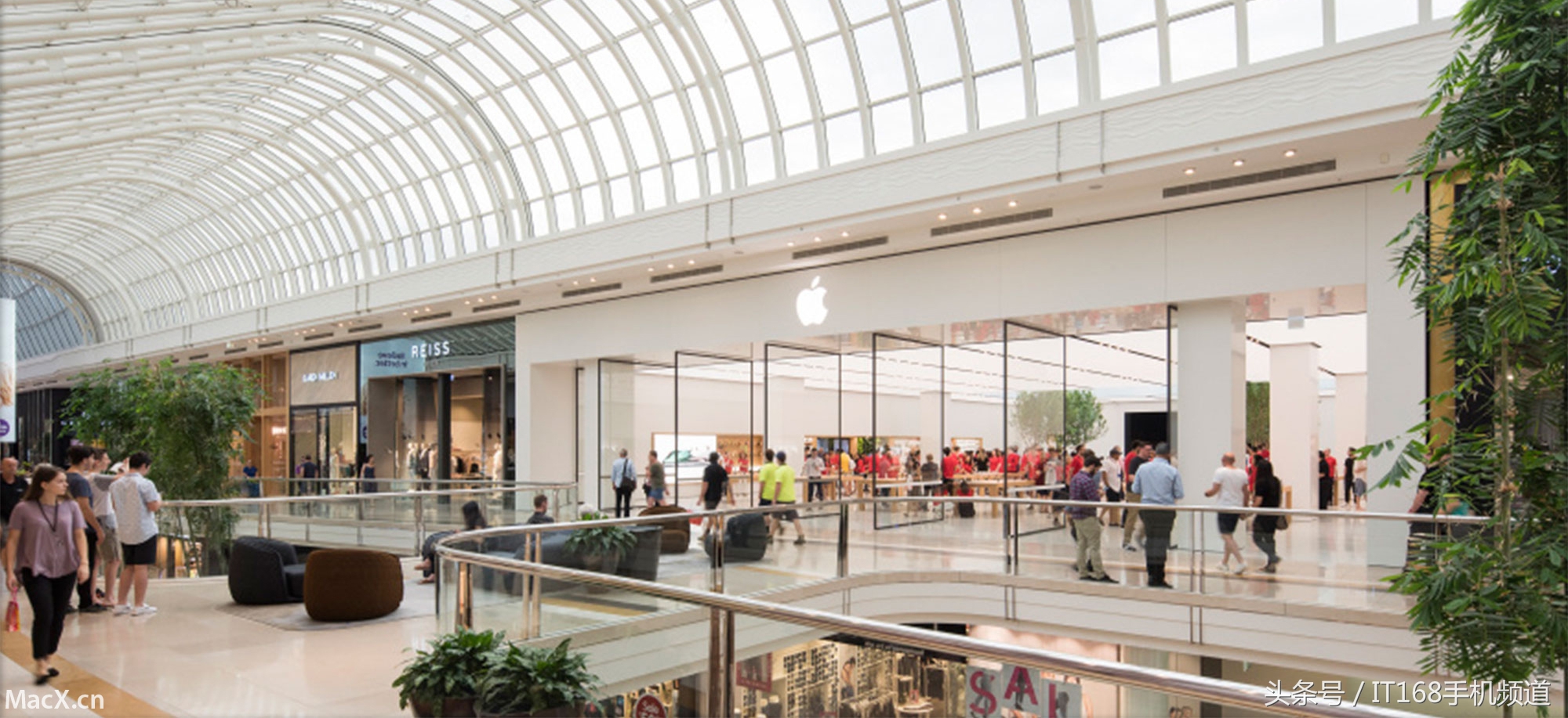 有钱任性系列,有钱任性系列完整版