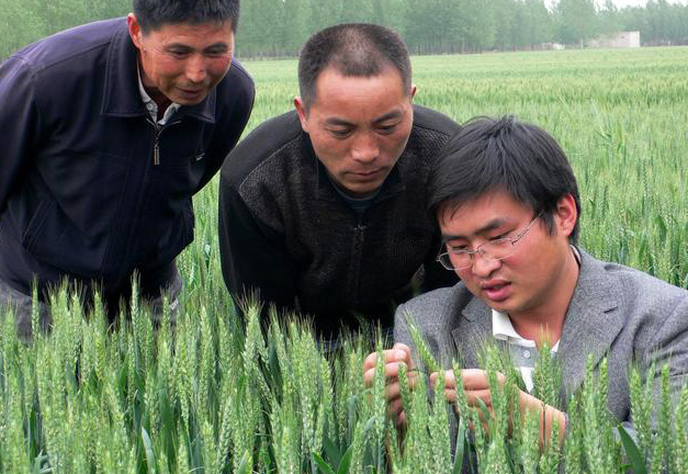 选调生和村官哪个工作忙,选调生和公务员哪个前景好