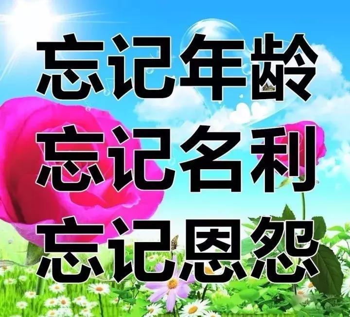 我的相册视频,十寸相册