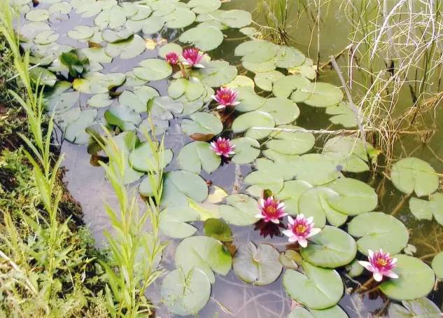 临沂人旅游攻略,临沂人清明去哪玩