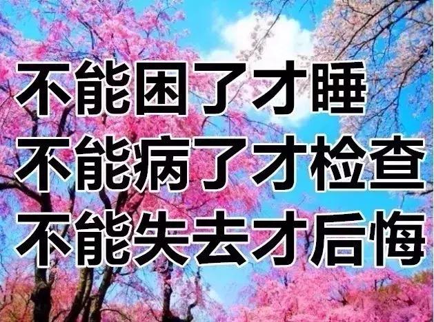 我的相册视频,十寸相册