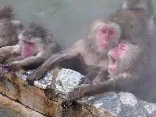 广东温泉纯天然温泉排名,你泡过纯天然的温泉吗