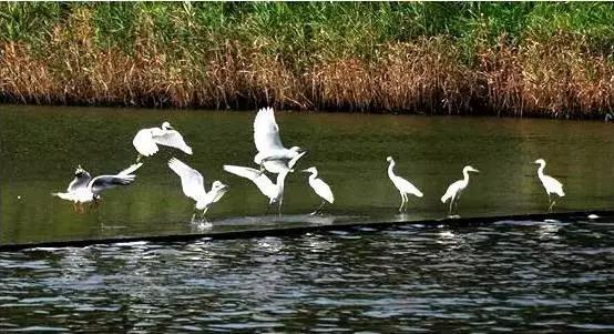 威海临港区有发展空间吗,威海临港区发展得怎么样