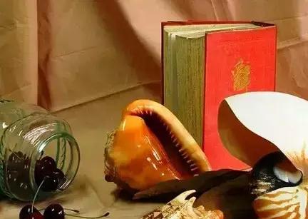 成语演讲稿大全100字,励志演讲的成语