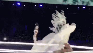 维密秀最震撼带翅膀的一场,维密秀最惊艳的一场