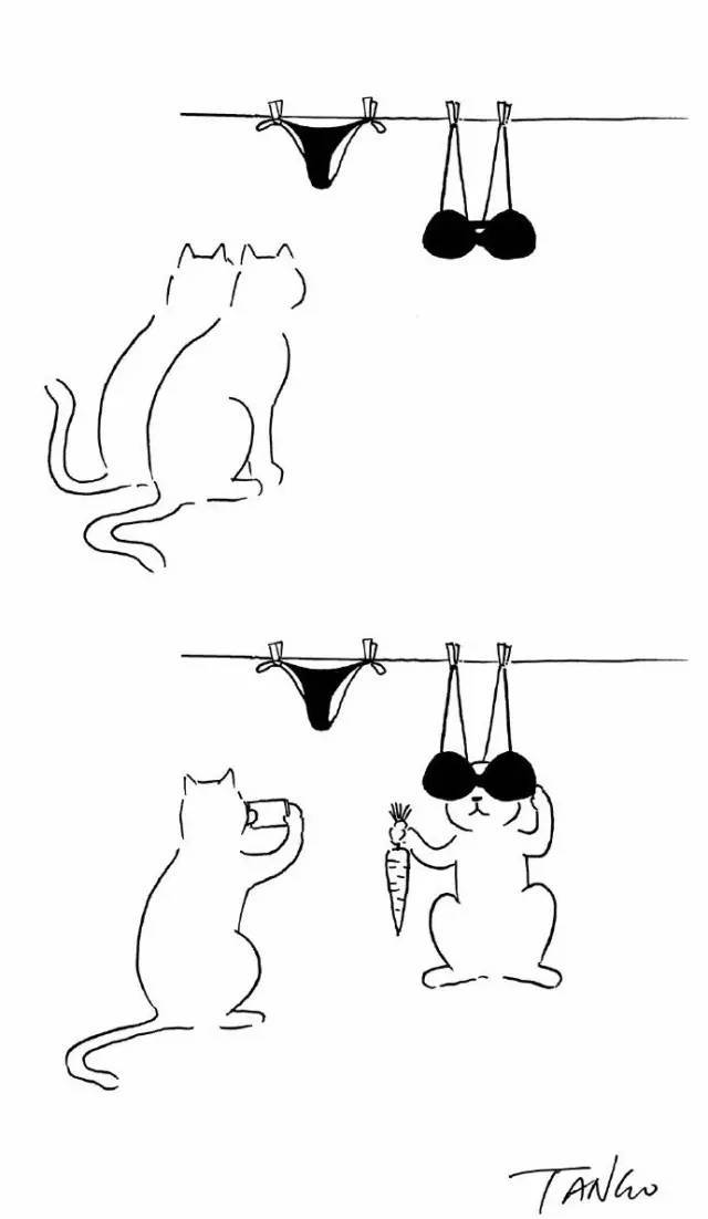 上交大数学系学生火了!他的“无聊”漫画为啥这么有魔力?