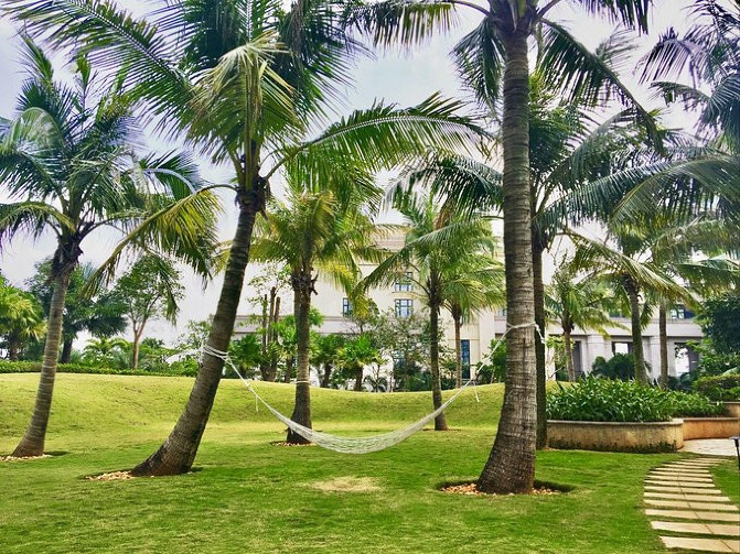 野鹅自驾：3天带你畅玩海口，椰风沐浴，体验不一样的慢旅行！