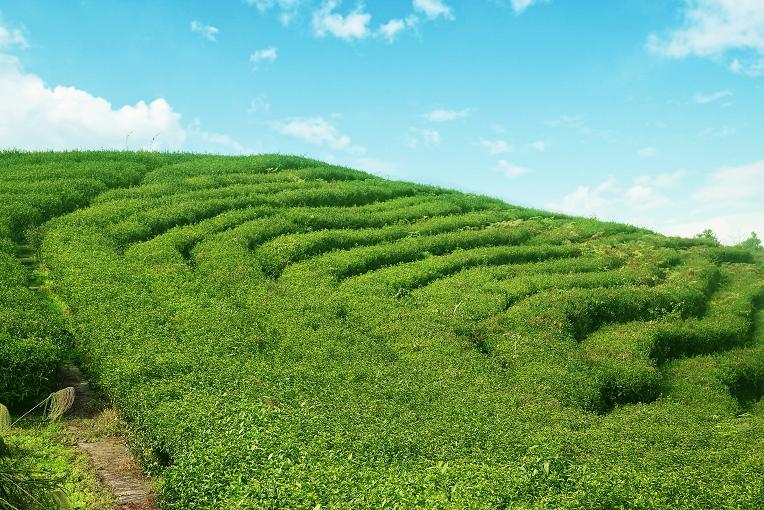 京东物流助力天水,京东物流助力黔货出山