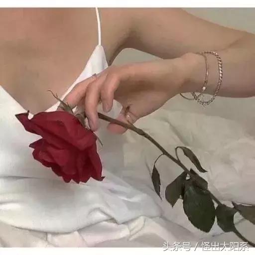 适合表白的英文情书,适合表白的英语情书