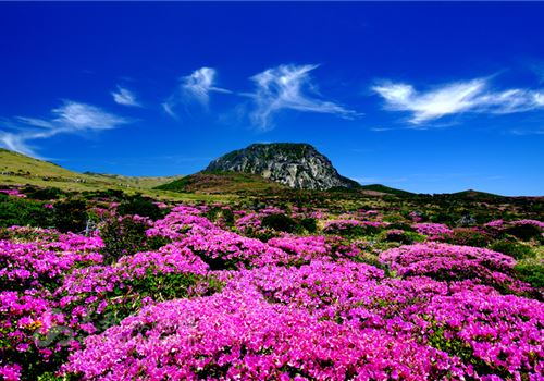 黄焖鸡米饭哪个牌子比较好,黄焖鸡米饭加盟排行榜第一名