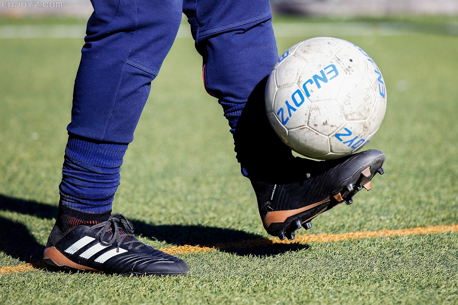 归来不凡,新猎鹰中端