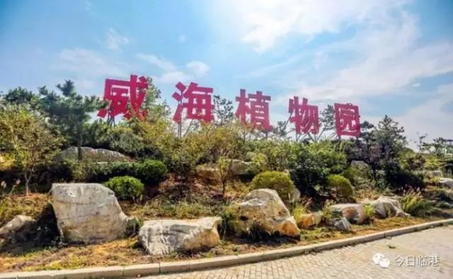 你真的了解森岛帆高吗,威海临港区未来有发展前途吗